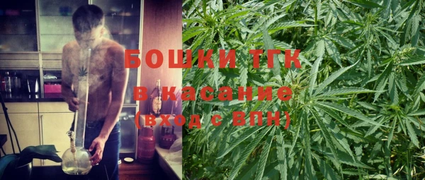 PSILOCYBIN Мегион