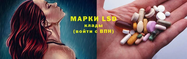 PSILOCYBIN Мегион