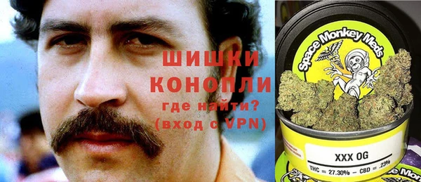 PSILOCYBIN Мегион