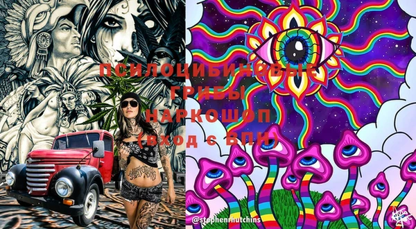 PSILOCYBIN Мегион