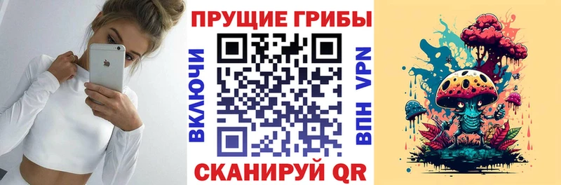 Галлюциногенные грибы ЛСД  Гаврилов Посад 